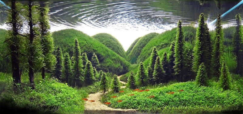 Illustration for article titled These beautiful natural landscapes are actually aquariums